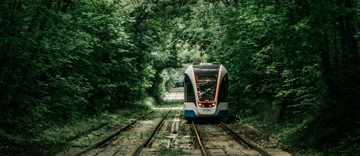 Train futuriste circulant dans une forêt