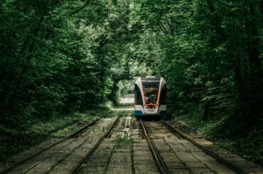 Train futuriste circulant dans une forêt